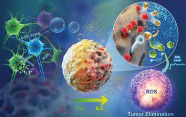 interaction cellulaire